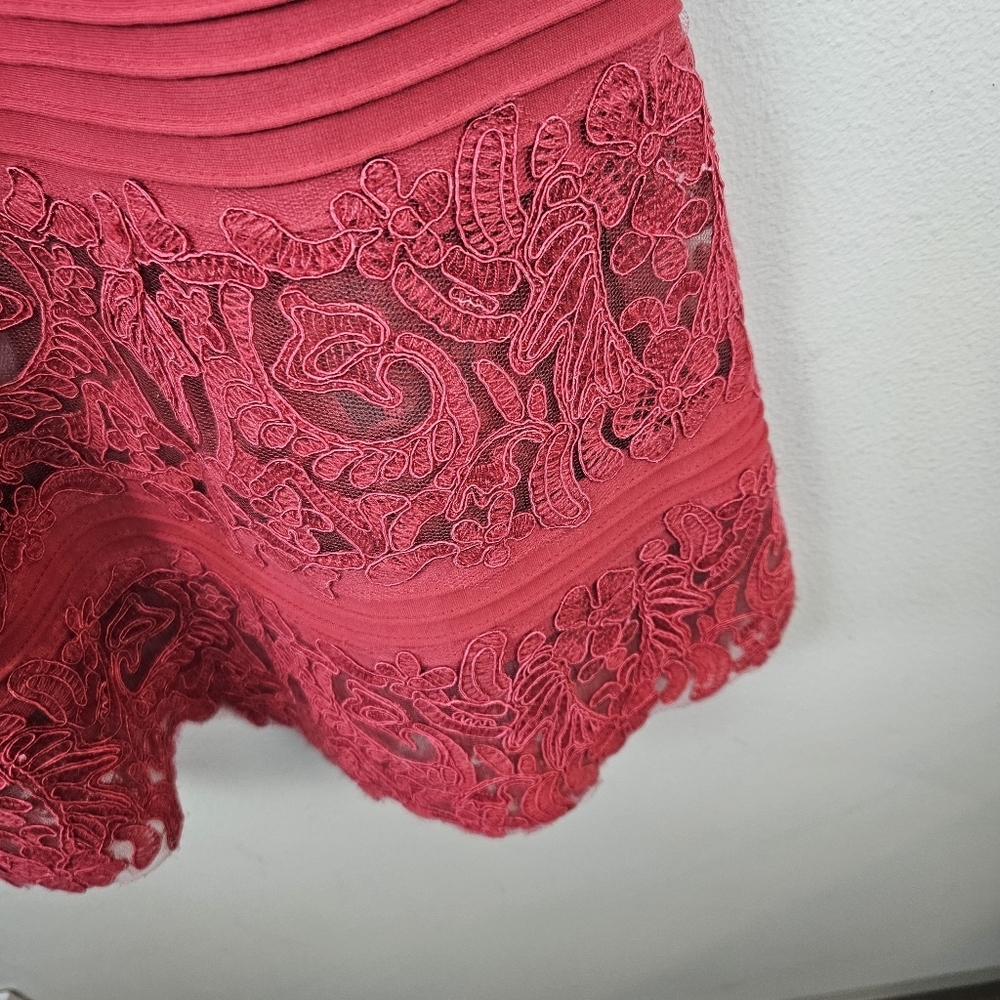 Tadashi Shoji Corded Embroidery on Tulle Pintuck Boatneck Dress M - Picture 5 of 9